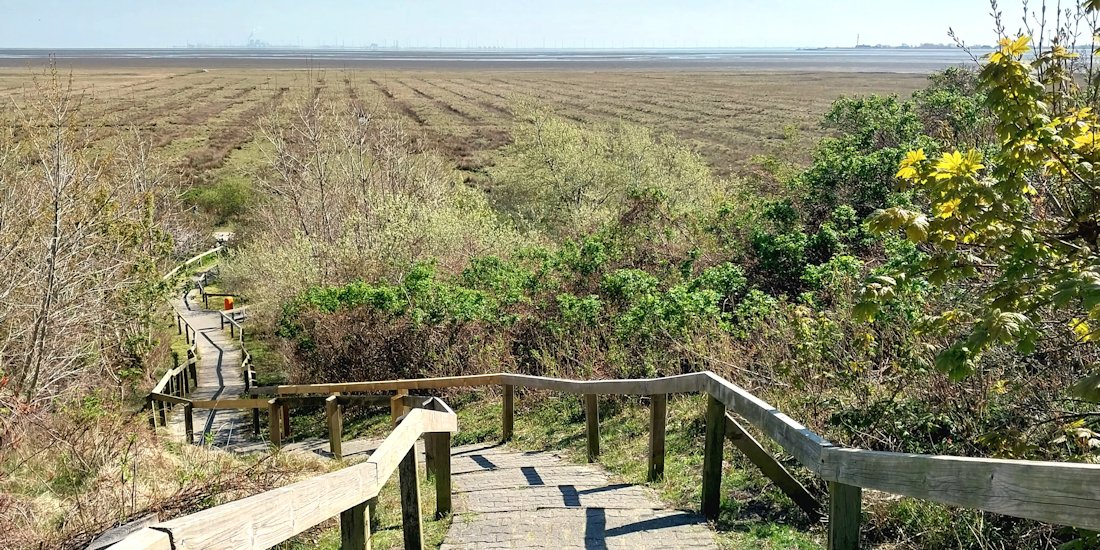 Aussichtsdüne Borkum