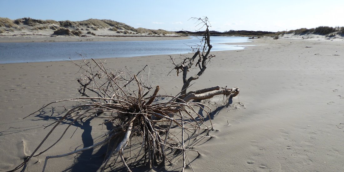 Dünendurchbruch Borkum