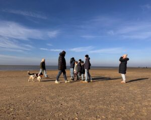 Gruppenurlaub Borkum