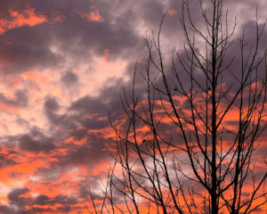 Sonnenuntergang Silvester Borkum
