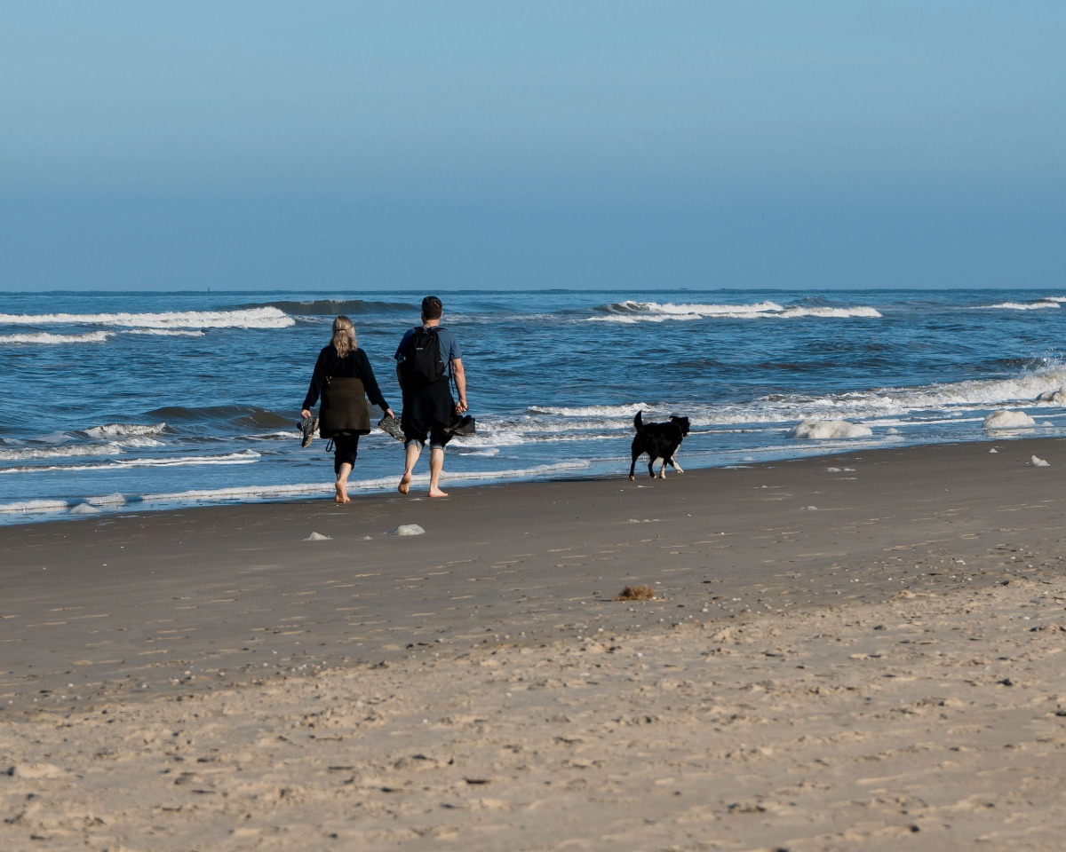 Borkum Spaziergang Hund Strand