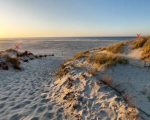 Herbst Borkum Duenen