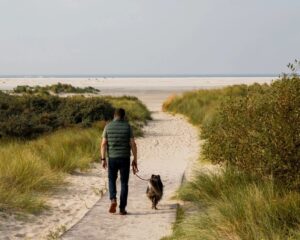 Hund Herrchen Duenen Nordsee Borkum