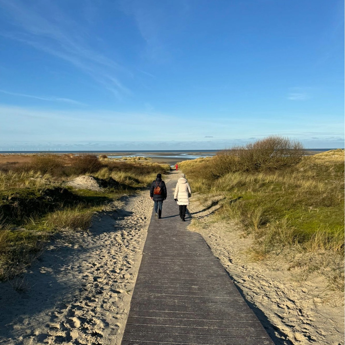 Natur Borkum Spaziergang